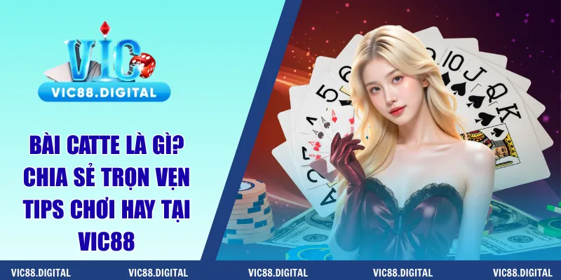 bài catte là gì