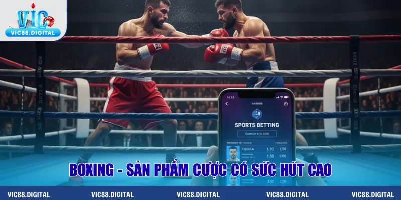 Boxing - Sản phẩm cược có sức hút cao