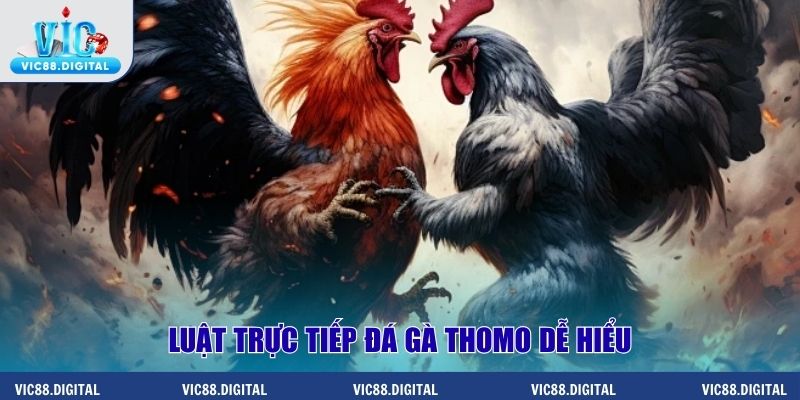 Luật trực tiếp đá gà Thomo dễ hiểu