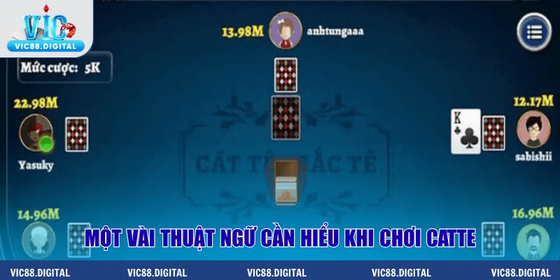 Một vài thuật ngữ cần hiểu khi chơi catte