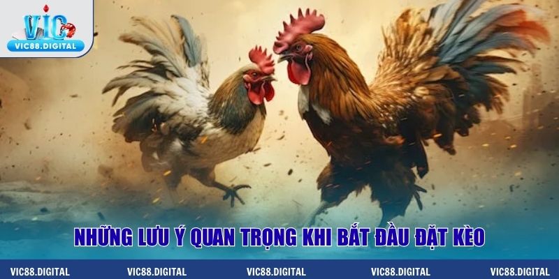 Những lưu ý quan trọng khi bắt đầu đặt kèo