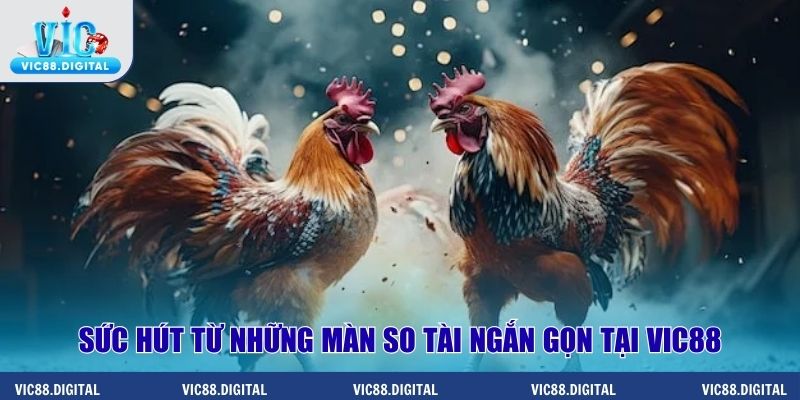 Sức hút từ những màn so tài ngắn gọn tại Vic88