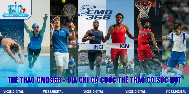 Thể thao CMD368 - Địa chỉ cá cược thể thao có sức hút