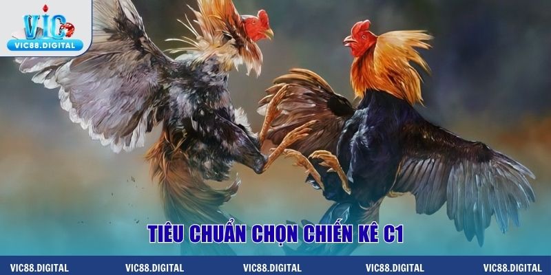Tiêu chuẩn chọn chiến kê C1
