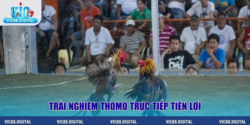 Trải nghiệm Thomo trực tiếp tiện lợi